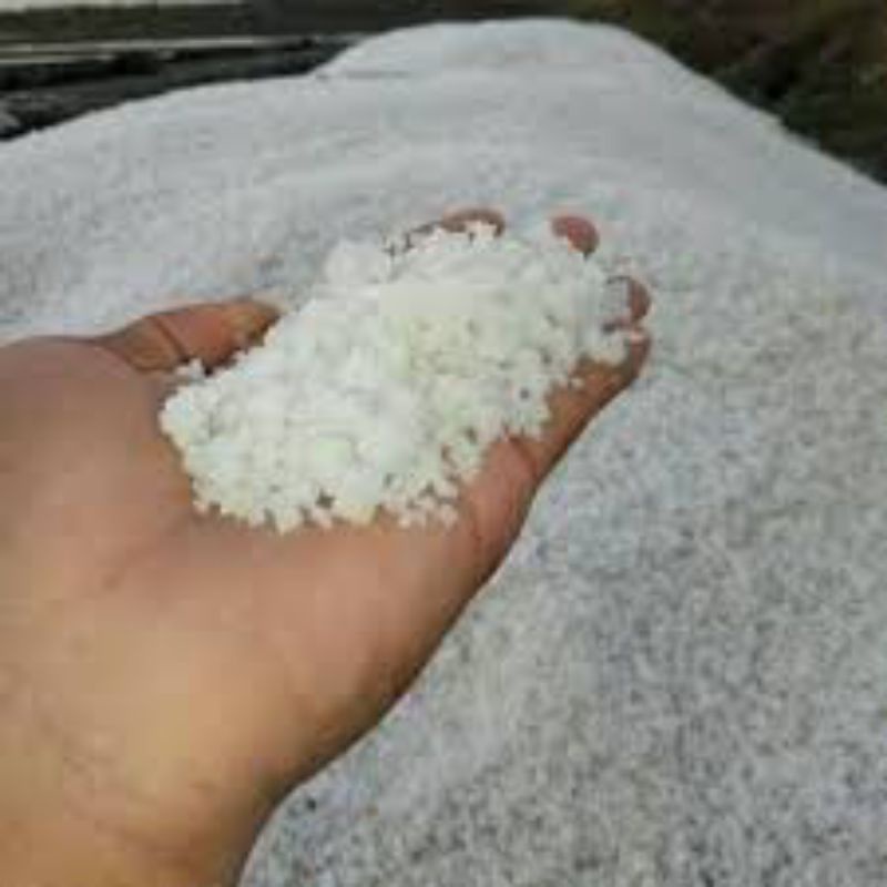 

Garam krosok garam asli dari petani garam