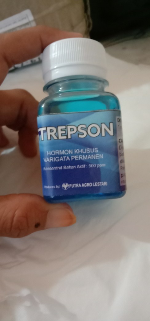 varicoza de la hormon