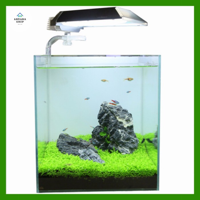 41+ Dekorasi Aquarium Mini Gratis