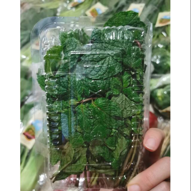 

Daun Mint Organik || MINT leaves || 80-100gr || Sayuran Organik Fresh