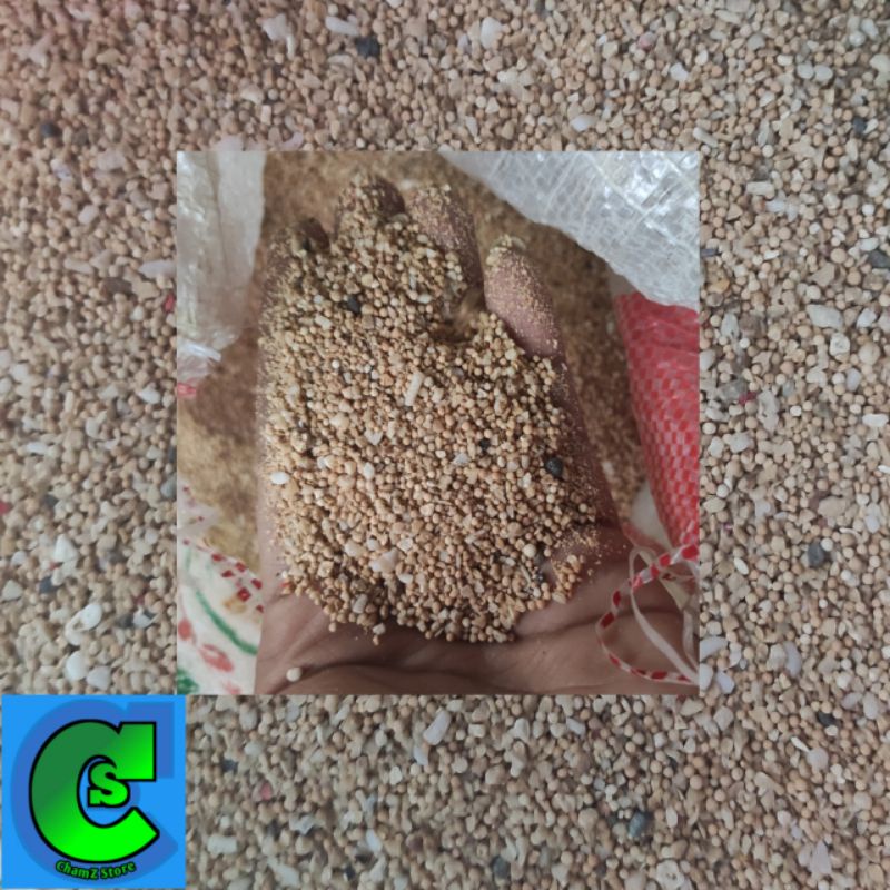 pasir bali aquascape aquarium 1kg original / pasir bali aquascape aquarium / pasir laut bali / pasir bali aquarium 1kg