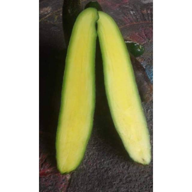 Bibit alpukat tanpa biji long berkwalitas cepat berbuah