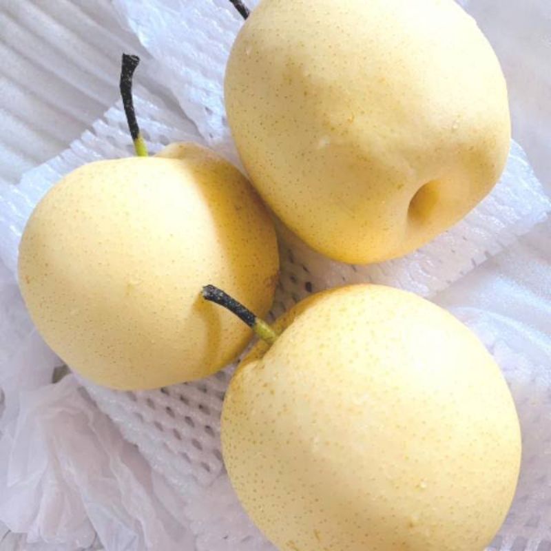 

sayursegar pear madu segar
