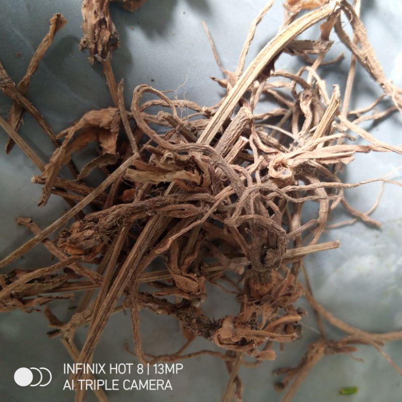 

Kayu Rapet Kering 500gram