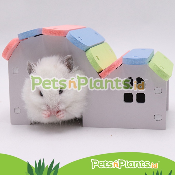 Rumah Tempat Tidur - Mainan Gigitan Kandang Hamster Ecoboard Rainbow