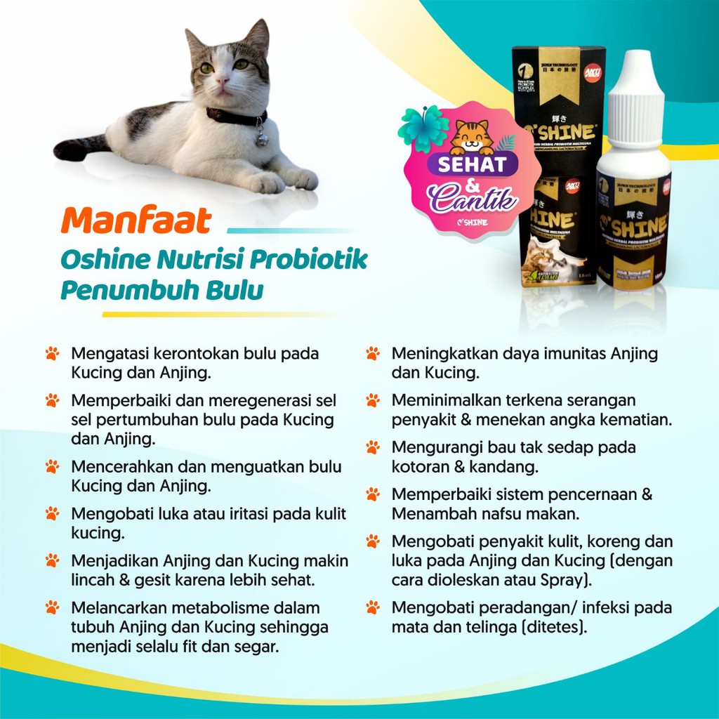 Oshine Nutrisi Herbal Probiotik Obat Bulu Rontok Kucing