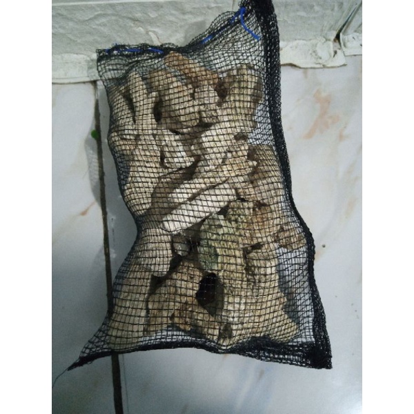 Karang Jahe Waring 1kg/karang jahe kantong waring 1kg
