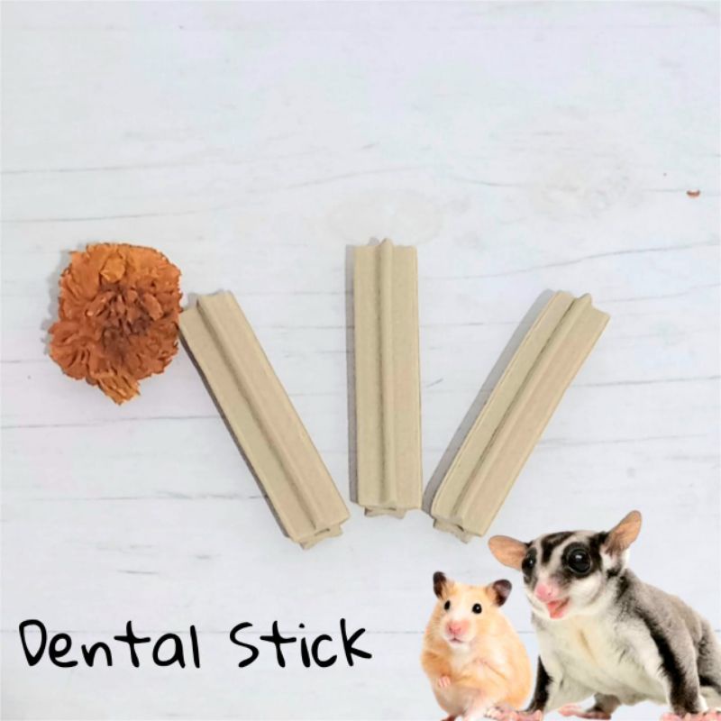 Hamster/Sugar Glider Dental Stick Gigitan Chew Toy