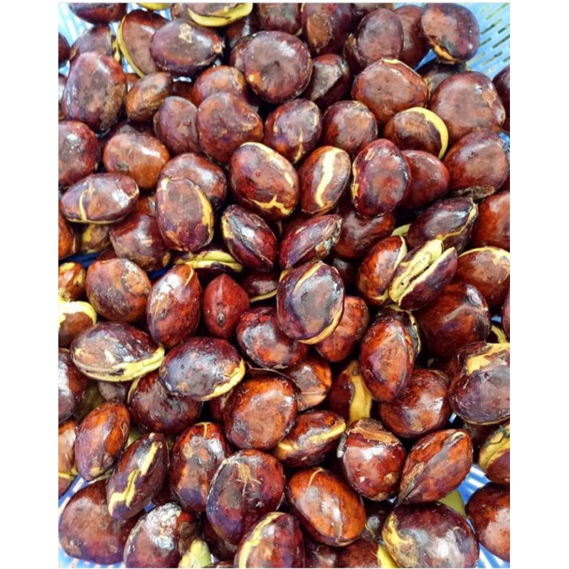 

JENGKOL MENTAH