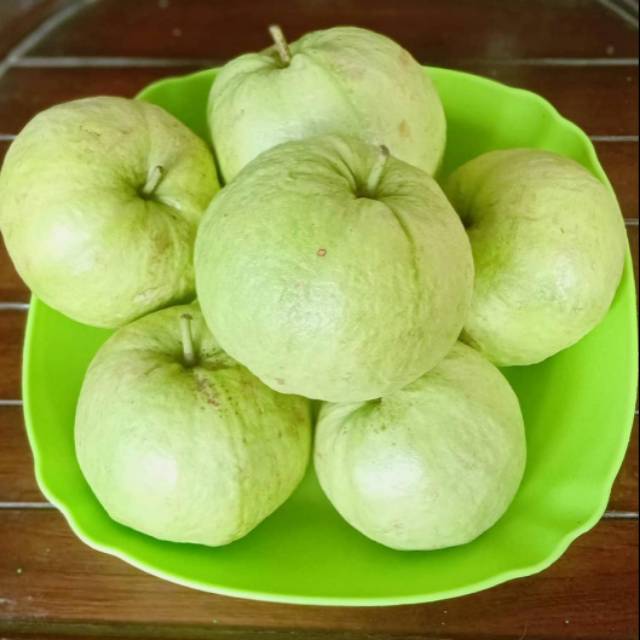 

Jambu kristal