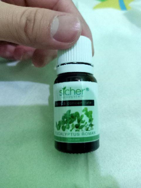 Eucalyptus Roman 10ml Aroma Concentrate