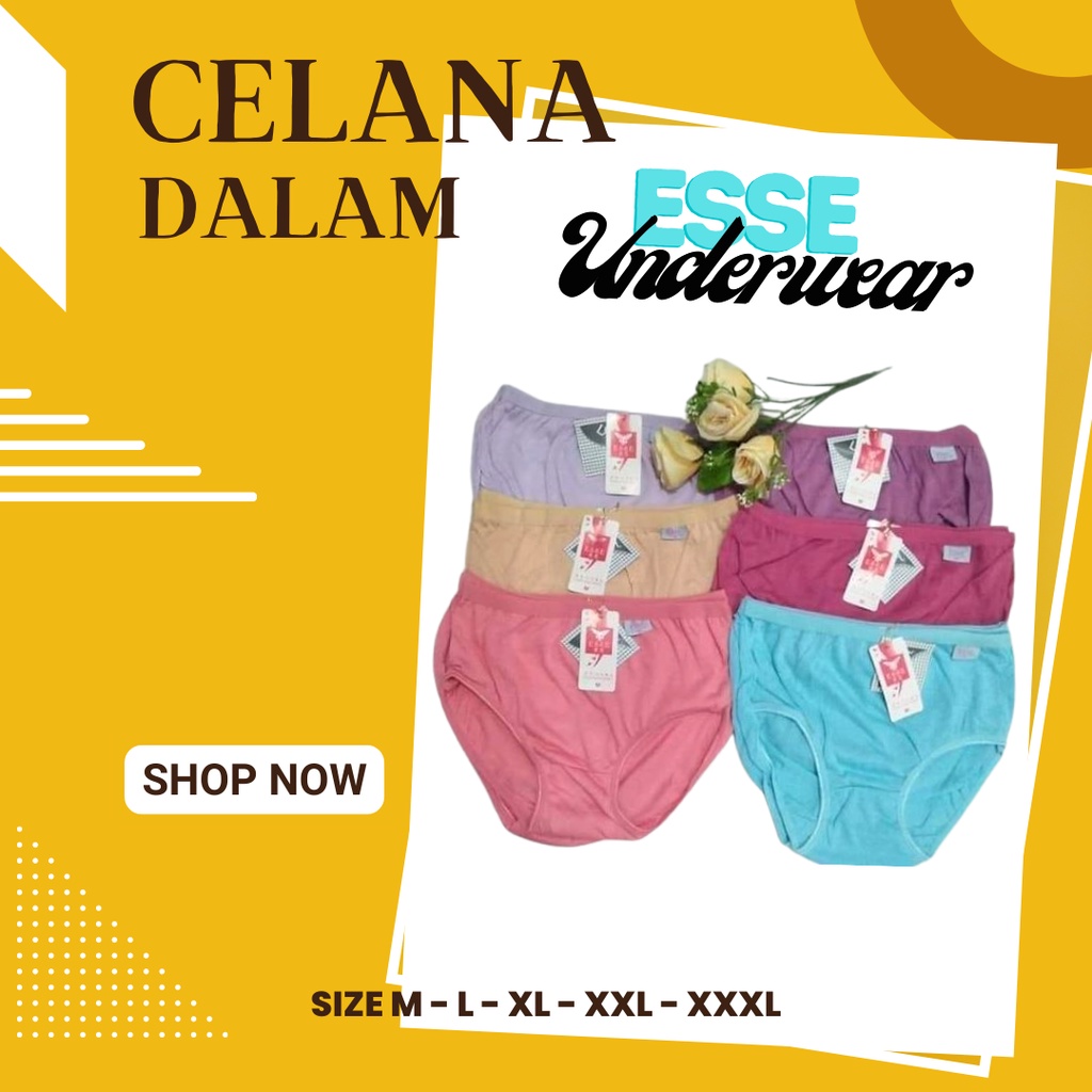 Celana Dalam Wanita Lusinan Sempak Wanita 1 Lusin Merk Esse Bahan Kaos Spandex - Adem Lembut Stretch