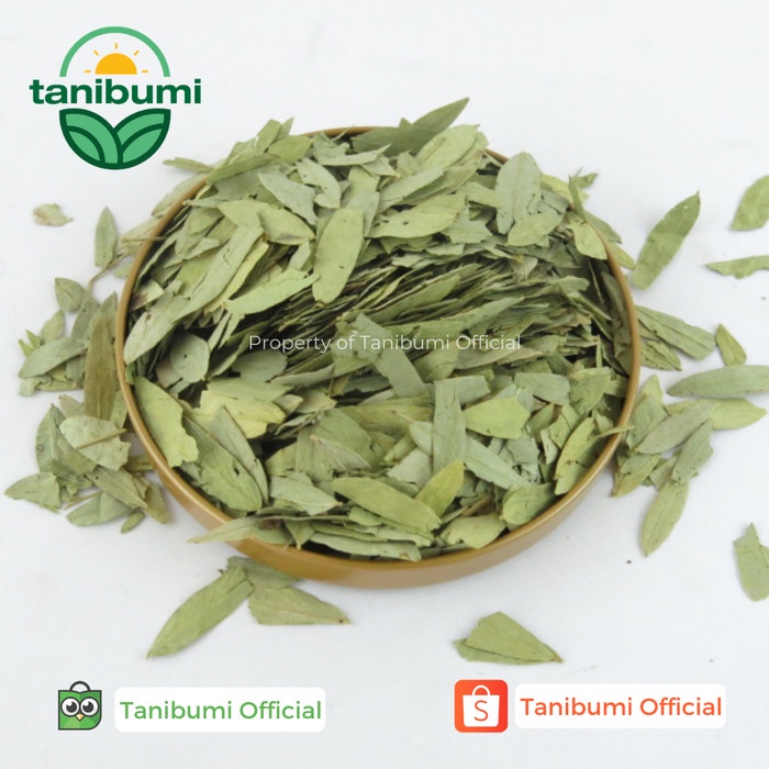 

ORIGINAL MURAH Termurah Daun Jati Cina | 1kg | Teh Herbal Pelangsing Premium - Tanpa Bubble