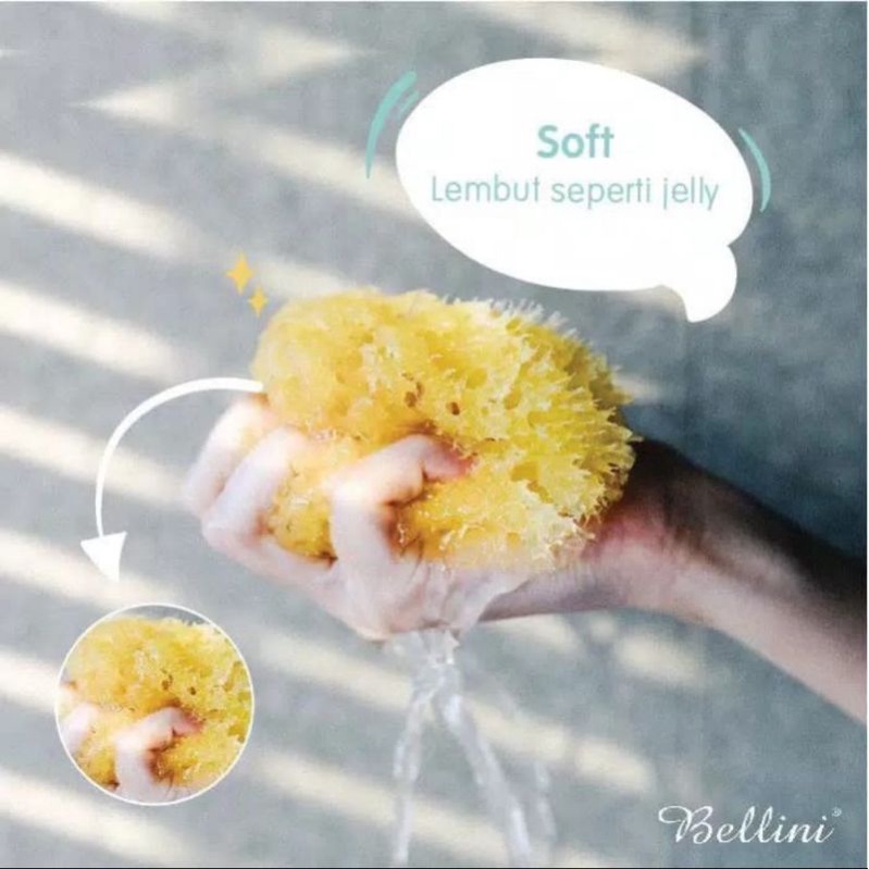 Lea Sponge Bellini SA10