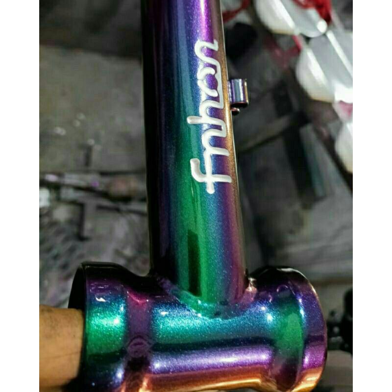 cat bunglon green blue violet pink