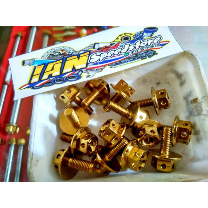 PROBOLT DRAT 10 BIG HEAD