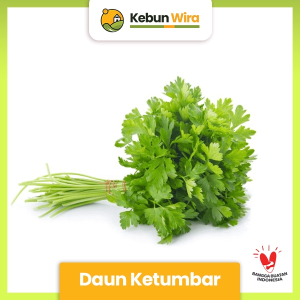

Daun Ketumbar | Coriander Leaf 100gr