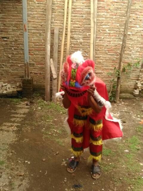 Barongsai costum dewasa full set