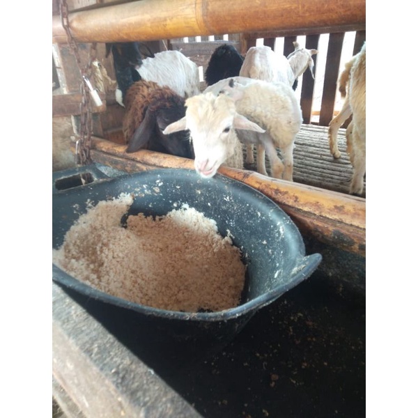 

ampas tahu fresh 1kg