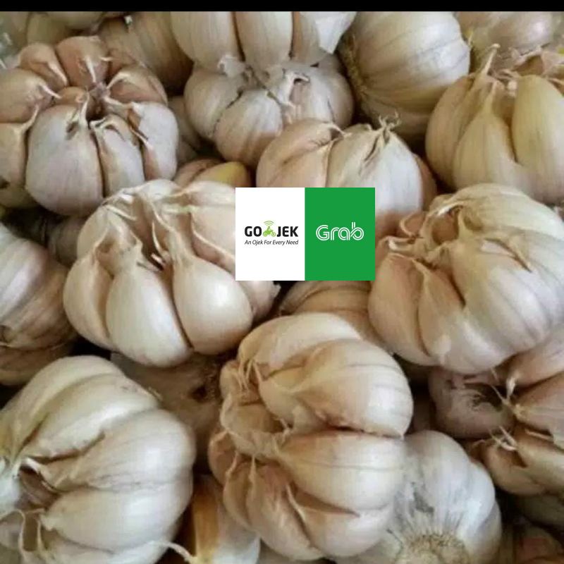 

Bawang putih 250 gram / seperempat kilo gram