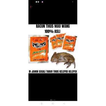 obat tikus racun tikus ampuh
