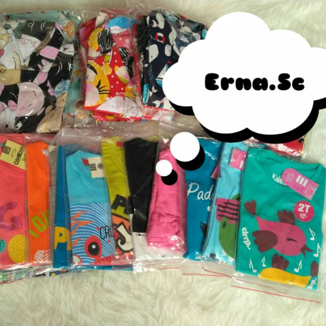 erna_sc