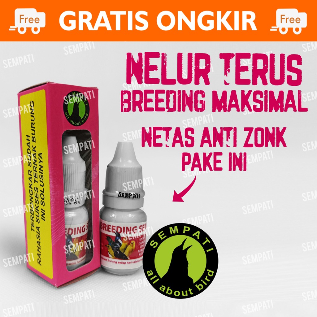 OBAT BURUNG MACET PRODUKSI BREEDING SEMPATI MENINGKATKAN KESUBURAN KUALITAS TELUR MURAI KACER DLL