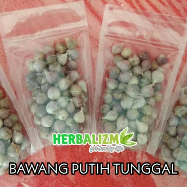 

Bawang Putih Tunggal Lanang