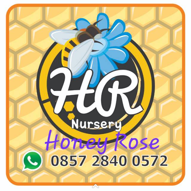 honey_rose_nursery