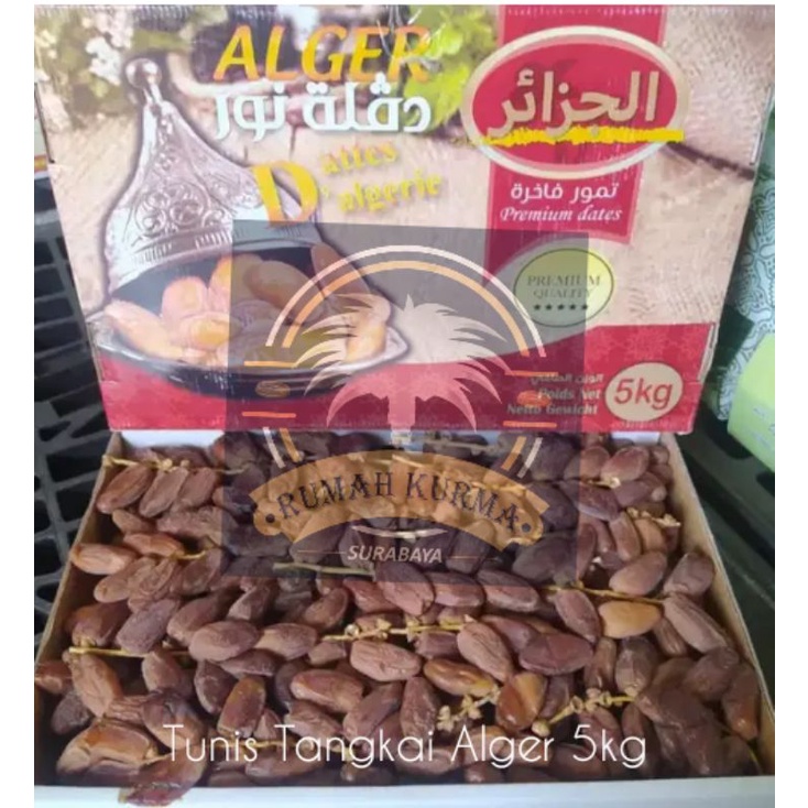 

kurma Tunis tangkai 5kg Alger