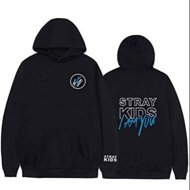 stray hoodie