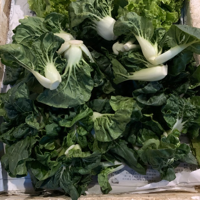 

Topai segar 250g