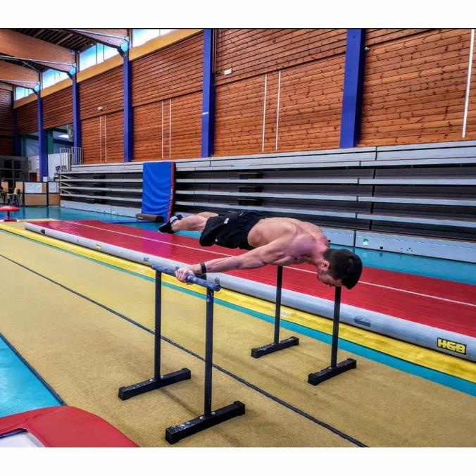 2pcs DIP BAR Alat Home Fitness Calisthenic Mobile Dip Bar Dipping Cros