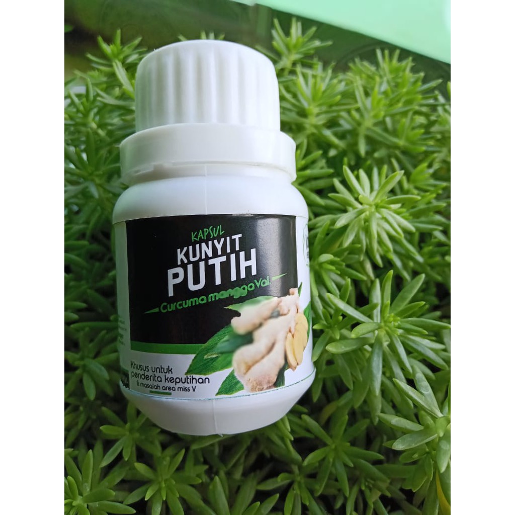 Herbal Kunyit Putih Obat Penebalan Dinding Rahim Paket Herbal Isi 3 Botol Obat Endometriosis Indonesia