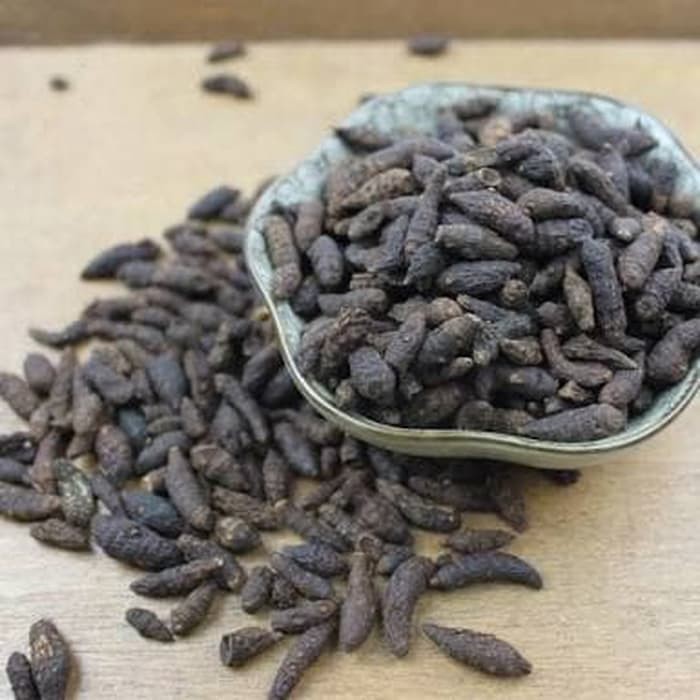 

100 GR GRAM XIANG FU ZI UTUH NUTGRASS GALINGALE RHIZOME CYPERUS TUBER