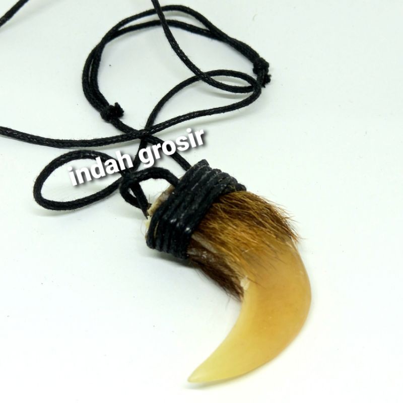 Leontin kalung unik