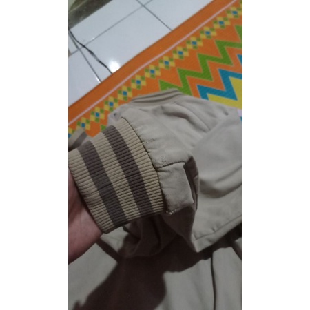 varsity vintage MLB detroit tigers