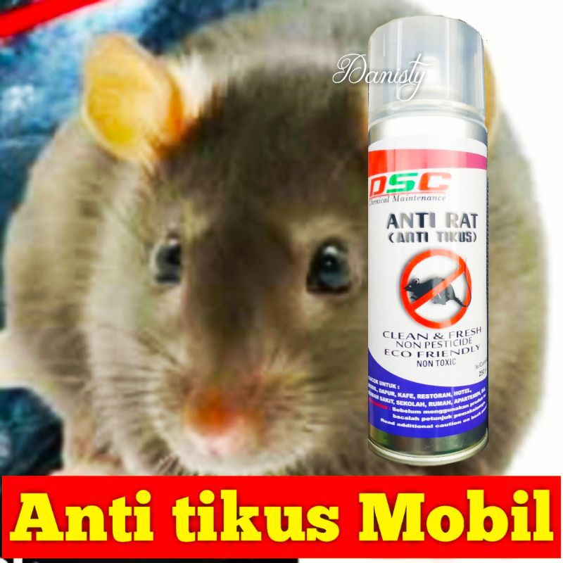 Pengusir tikus mobil anti tikus DSC