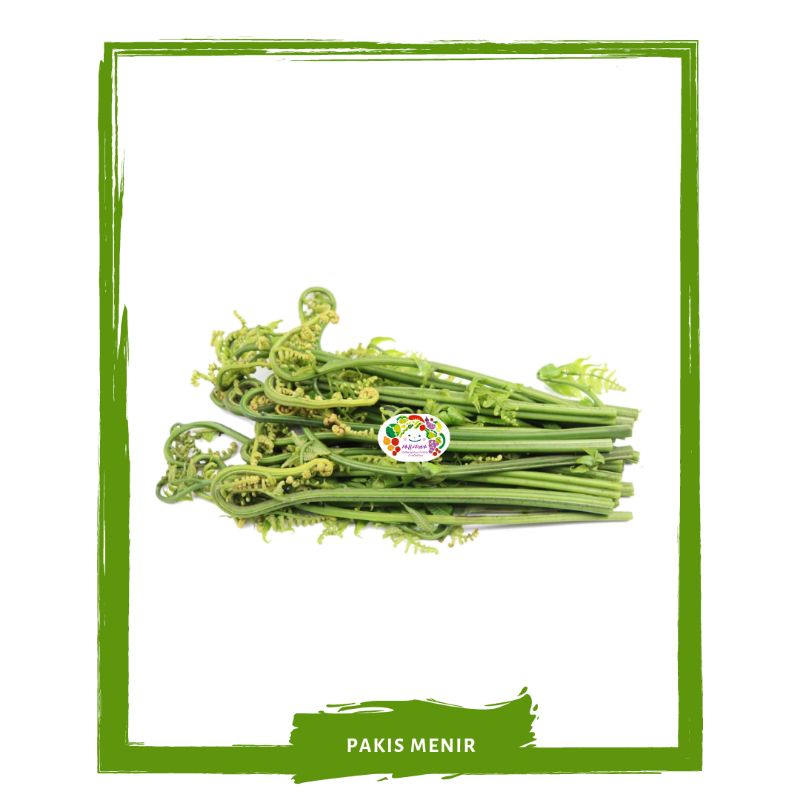 

Sayur Pakis / Pakis Menir / Sayur Segar By Mallahrizwa