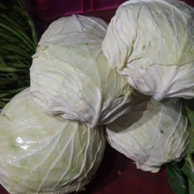 

KOL PUTIH/Lapak Sayur Murah