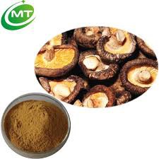 Bubuk Jamur Shitake Powder shitake mushroom powder 50g Pure dan Kualitas Terbaik!!!