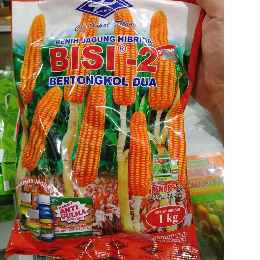 Produk Terbaik 1 kg Benih Jagung Bisi 2 Bibit Jagung Bisi 2 Benih Jagung Tongkol 2 Jagung Cap Kapal