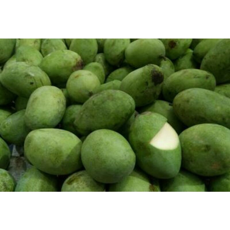 Mangga muda manalagi per 1 kg