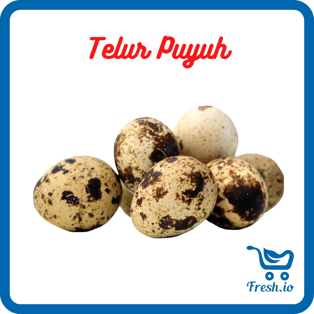 

Telur Puyuh