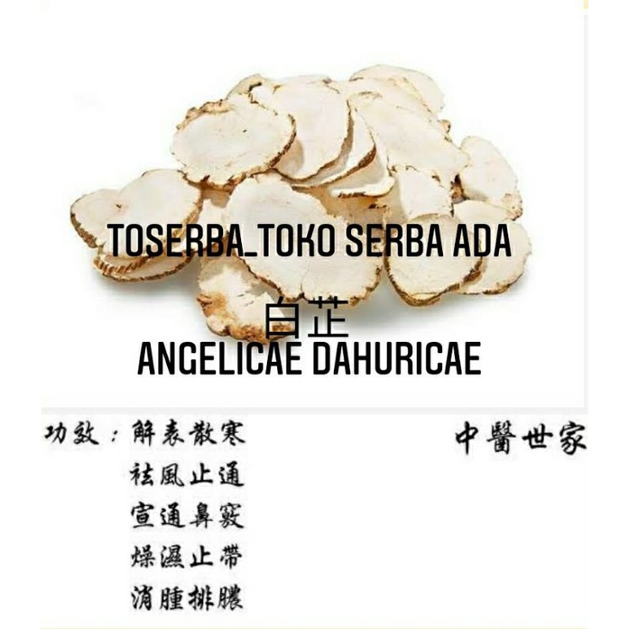 

100gr Herbal Xiang Bai Zhi 香白芷 Bai Zhi Angelicae Dahuricae /Dahurian Angelica Root / Radix Angelicae Dahuricae / Angelica Dahurica
