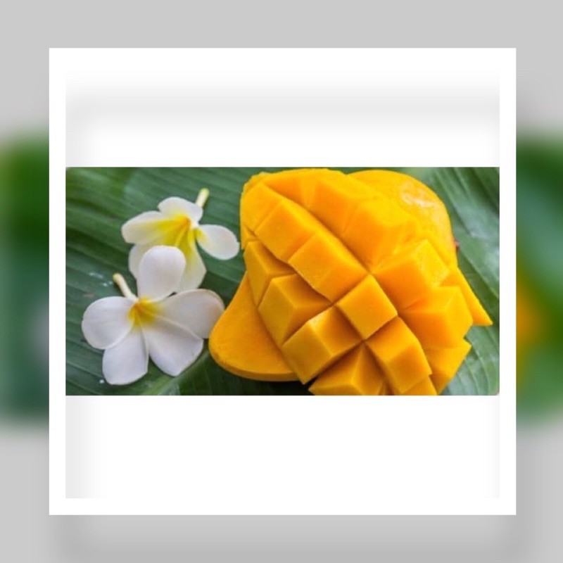 

MANGGA HARUM MANIS 500g Rp27. 990