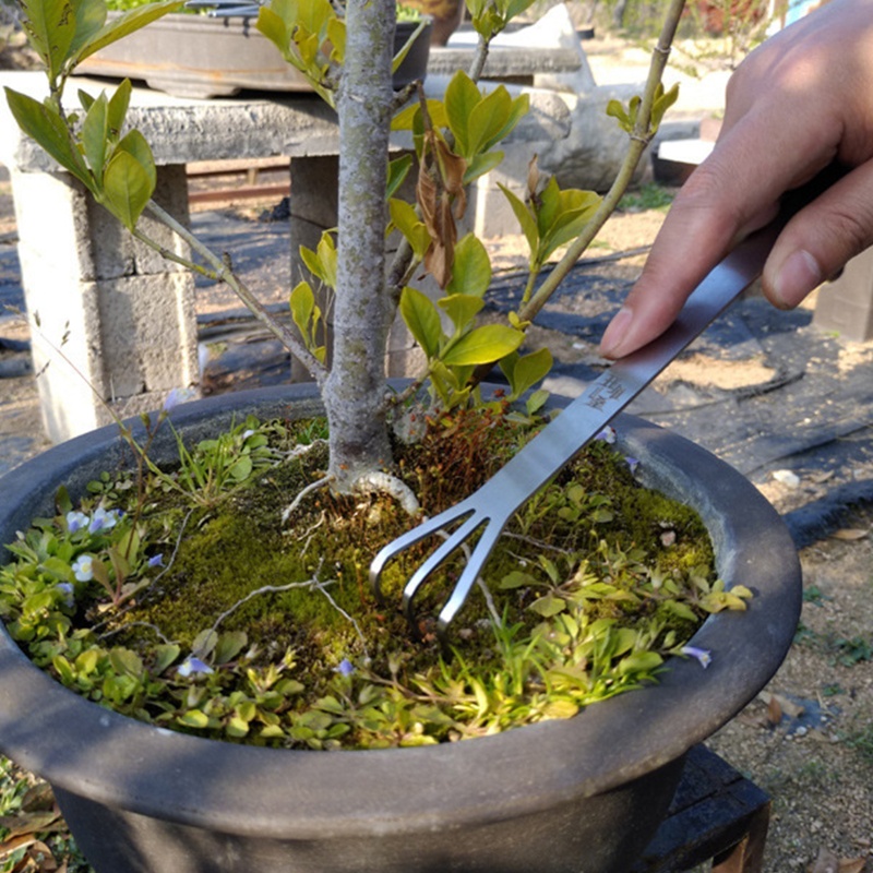 Alat Berkebun 3 Cabang Bahan Stainless Steel Multifungsi Dengan Gagang Ergonomis