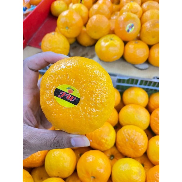 

Jeruk wokam RRc premium | 1 kg