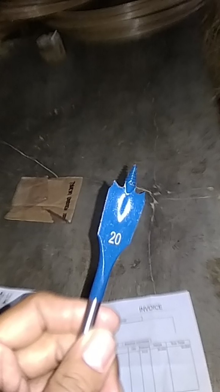 Bosch Mata Bor Kayu Kipas 20 Mm Spade Bits Selfcut Speed - Hex Shank