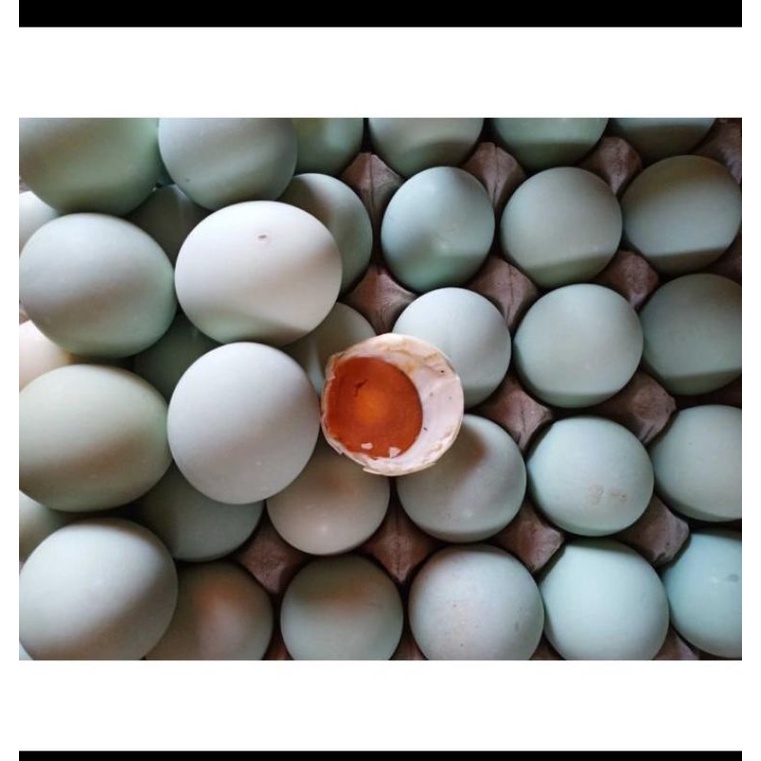 

Telur Asin isi 10 pcs